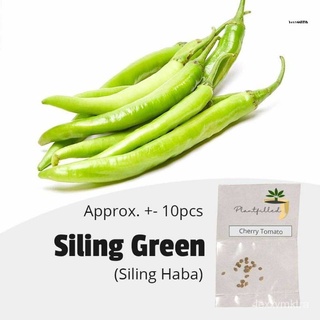 【ปลูก】Siling เมล็ดสีเขียวพริกร้อน | ผัก-10เมล็ดผักชี/เสื้อ/และผักกาดหอมหลากหลายชนิด/ผู้ชาย/มะละกอ/แอปเปิ้ล/กระโปรง/ดอกทา