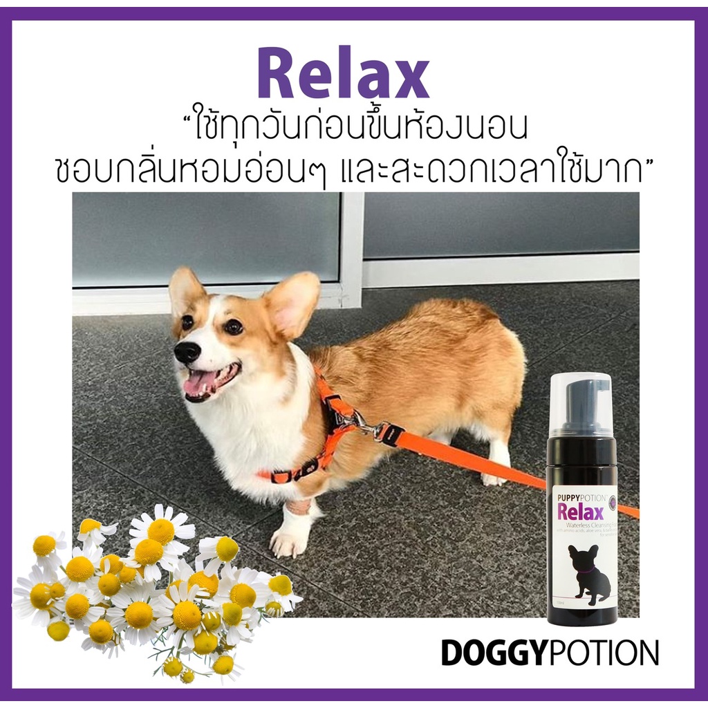 Puppy Potion Relax Waterless Cleansing Foam 150 ml ราคา ถูกที่สุด ดีลบีเคเค แกลเลอรีภาพที่ 6