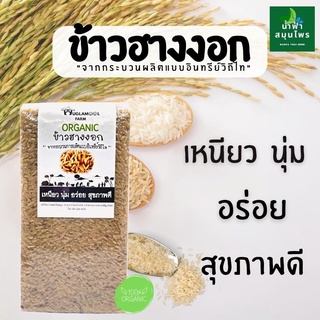 ข้าวฮางงอก "จากกระบวนผลิตแบบอินทรีย์วิถีไท" เหนียว  นุ่ม  อร่อย สุขภาพดี  ข้าวฮางงอก  ปราศจากสารเคมี