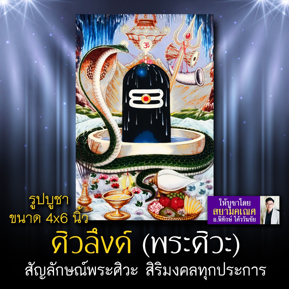 My Image 27