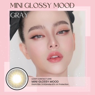 Mini Glossy mood Gray 0.00-1000