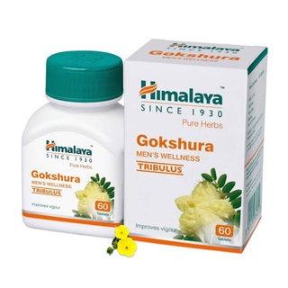 Himalaya Gokshura MENS WELLNESS 60 TABLETS