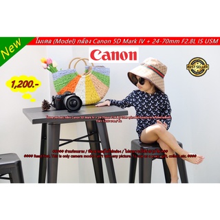 Model, Prop, Gift, Collect โมเดลกล้อง Canon 5D Mark IV + 24-70mm F2.8L IS USM ขนาดเท่าของจริง