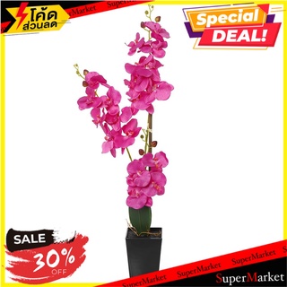 ต้นกล้วยไม้ประดิษฐ์ LALA HOME 90 ซม. สีม่วง ต้นไม้ประดิษฐ์ ARTIFICIAL ORCHID LALA HOME 90CM PURPLE อุปกรณ์ตกแต่งสวน