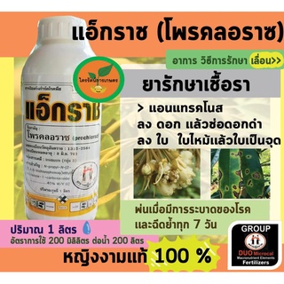 แอ็กราช [หญิงงามเเท้100%] โพรคลอราซ ยาเชื้อราเเอนเทรกโนส