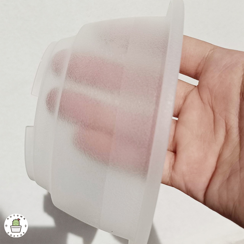 ⚫🟠กระถางทรงกลมแบน ปากแบน กระถางต้นไม้ กระถางใส น้ำตาล และสีดำ 4 - 5.5 - 6.5 นิ้ว⚫🟠 - รูปที่ 6