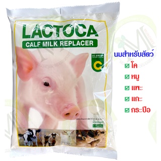 อาหารแทนนมสำหรับสัตว์ แลคโตคา (LACTOCA) นมสัตว์/โค/หมู/แพะ/แกะ/กระบือ