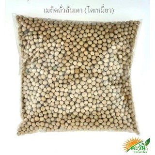 🛍️SUN RKT🛒เมล็ดถั่วลันเตา (โตเหมี่ยว) ต้นอ่อนโตเหมี่ยว