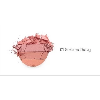 Orieจntal Princess Beneficial Gradation Compact Cheek Colours 12 g. บลัชออน ปัดแก้ม