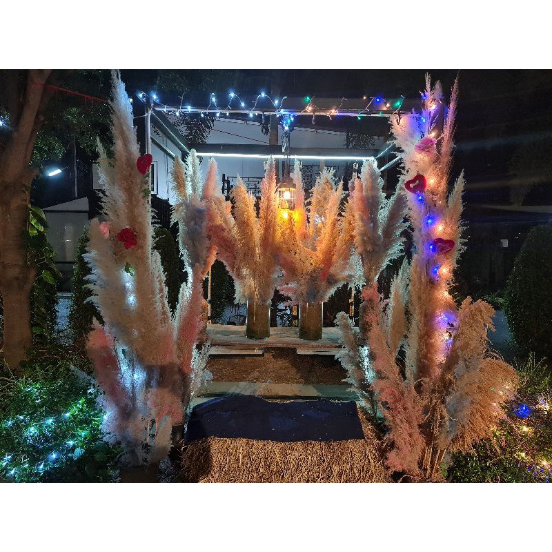 สีย้อมกก(ตราหัวม้า🐴) ย้อมผือ ย้อมหญ้า ย้อมพืช สีแต้มหมี่ (ซอง)