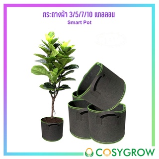 กระถางผ้าปลูกต้นไม้ Smart pot ขนาด 3/5/7/10 แกลลอน เนื้อผ้าหนา ทนทาน