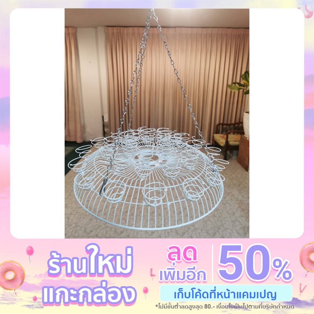 กระเช้าแขวนเคราฤาษี​และทิล​แลนเซีย​ 1​4​นิ้วพร้อมโซ่แขวน
