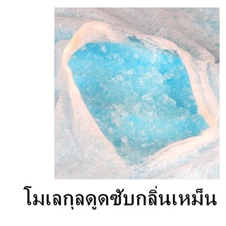 แผ่นรองฉี่สุนัข แผ่นรองฉี่แมว ช่วยฝึกขับถ่าย Super Absorption Gel ระงับกลิ่น ซึมซับไดีดี แผ่นรองฉี่สุนัขและแมว
