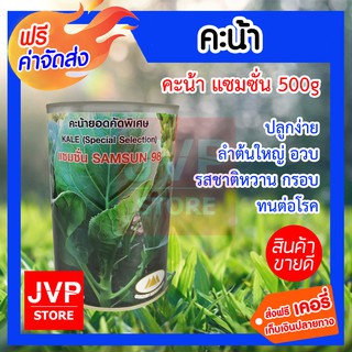 **ส่งฟรี**เมล็ดคะน้าแซมซั่น 500g. ตราภูเขาทอง ปลูกง่าย ลำต้นใหญ่อวบ รสชาติหวานกรอบ ทนต่อโรค