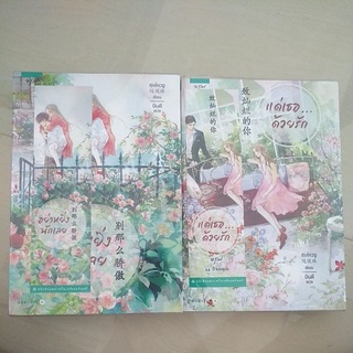 หนังสือมือสอง นิยายเเจ่มใส2เล่ม  อย่าหยิ่งนักเลย เเด่เธอด้วยรัก