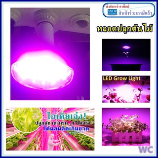 หลอด LED PAR38 ขนาด 15W GROW Light หลอดไฟปลูกผัก ขั้วE27 ขั้วเกลียวยี่ห้อ BIOBULE ประกันสินค้า1ปี