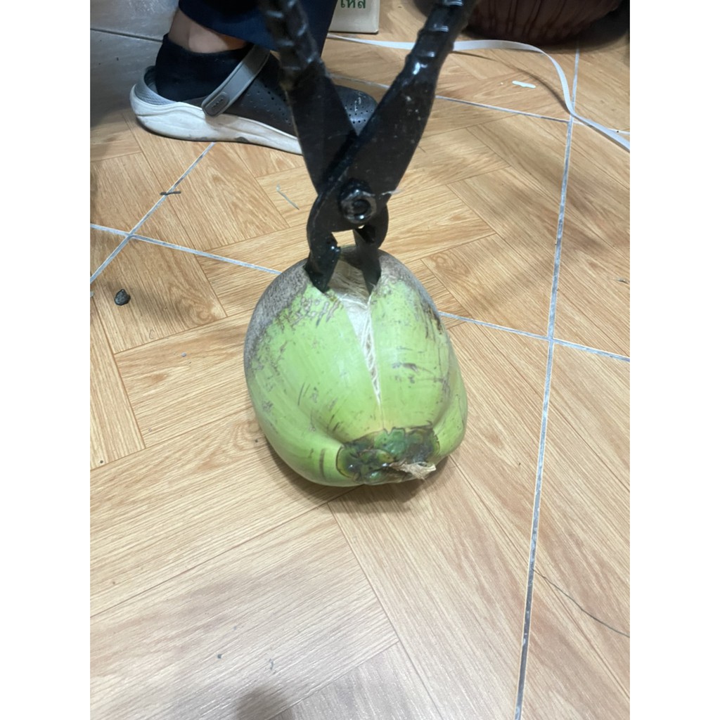 คีมปอกมะพร้าว เหล็กปอกมะพร้าม ครีมปอกมะพร้าว 23 นิ้ว ที่ปอกมะพร้าว - รูปที่ 6