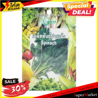 เมล็ดพันธุ์ปวยเล้ง กรีน การ์เด้น เมล็ดพันธุ์ SPINACH SEED GREEN GARDEN ต้นไม้และเมล็ดพันธุ์