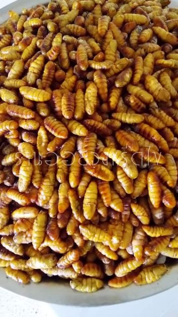 รูปภาพ 3