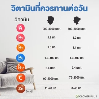 แพ็คคู่ Clover Plus 19 Multivit and Mineral (2 ขวด) วิตามินรวมและแร่ธาตุ 19 ชนิด