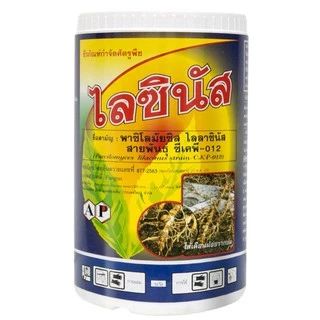 ชีวภัณฑ์ ไลซินัส เชื้อรา พาซิโลมัยซิส ไลลาซินัส 50 กรัม