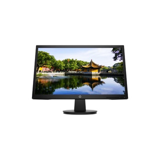 HP V22v FHD  Monitor