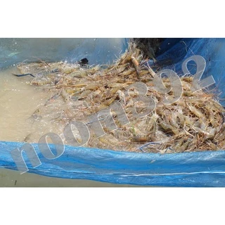 🦞ราคาถูกที่สุด(3ฟรี1)เบอร์4🦞อาหารกุ้งผสมชนิดจมน้ำใช้สำหรับ(กุ้ง1-4เดือนขึ้นไป)แบ่งขาย)