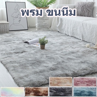 ⚡️พร้อมส่ง⚡️ Home พรม ขนนิ่ม พรมนุ่ม พรมปูพื้น 80x160cm พรมห้องนอน พรมขนนุ่ม พรมห้องนอน ผ้าปูพื้นพรมก ผ้าปูพื้นพรมก