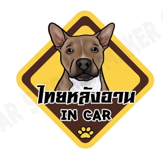 สติกเกอร์ติดรถ สติ๊กเกอร์ติดรถยนต์ สติกเกอร์หมา DGA210  ไทยหลังอาน dog