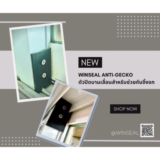 Winseal Anti-Gecko ที่ช่วยกันจิ้งจกสำหรับบานเลื่อนกระจก อย่าปล่อยให้จิ้งจกลอยนวล!