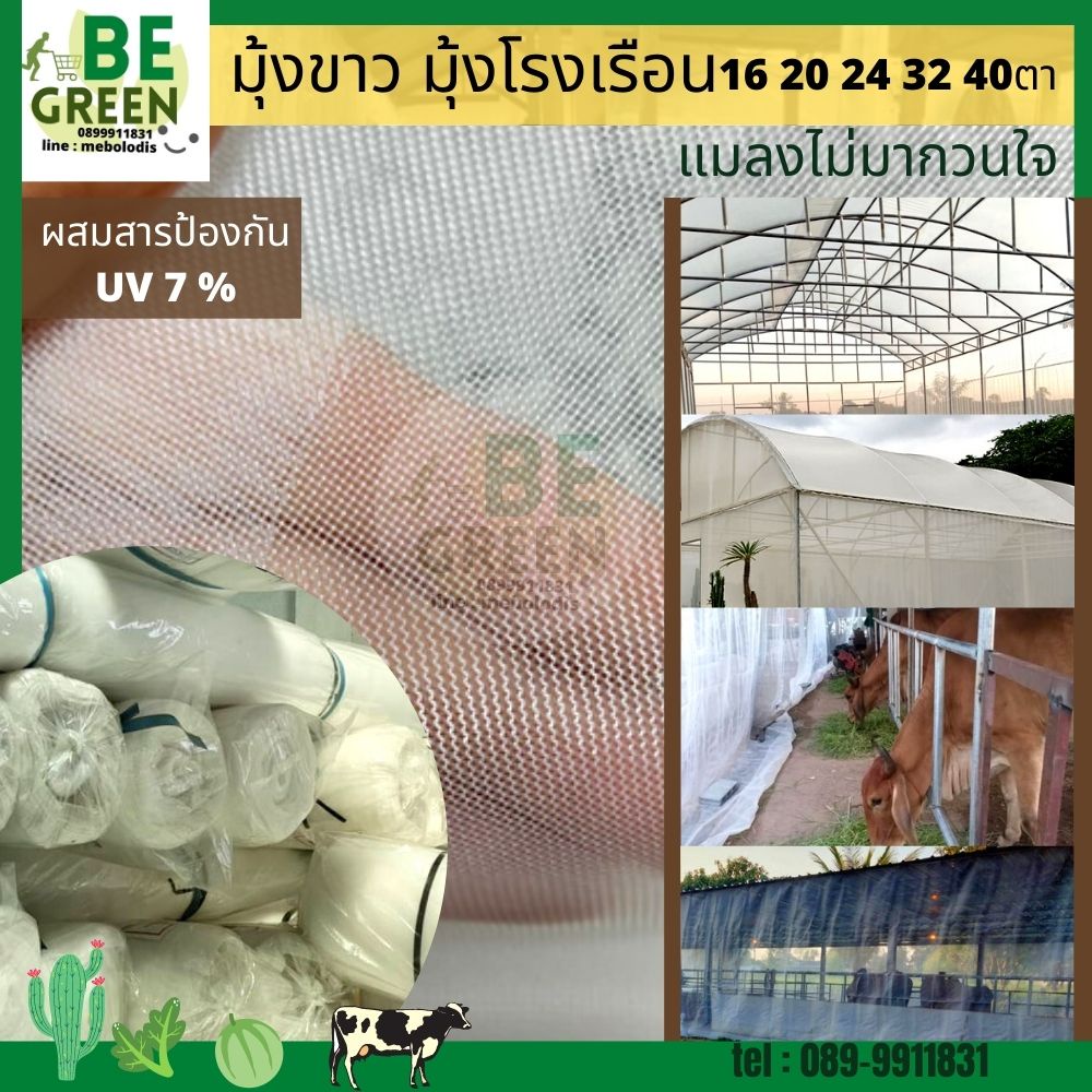 มุ้งขาว 16ตา 20ตา ตาข่ายกันแมลง  มุ้งคลุมโรงเรือน  มุ้งกันยุง มุ้งกันแมลง 30เมตร มุ้งวัว มุ้งปลูกผัก ผักกางมุ้ง - รูปที่ 4