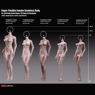 Tbleague S24A S25B S26A S27B โมเดลตุ๊กตาฟิกเกอร์ สเกล 1/6 ยืดหยุ่น 12 นิ้ว