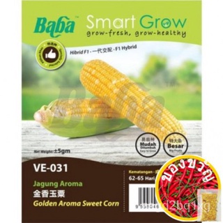 Baba VE-031 Benih Jagung Mutiara Emas / Sayur / Smart Grow Pearl Gold Sweet Corn Seed - Vegetable Seedบ้านและสวน/สวน/มัก