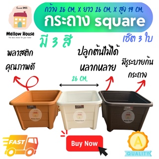 [3 ใบ] กระถาง SQUARE ดีไซน์สวย กระถางปลูกผัก กระถางปลูกสลัด กระถางพลาสติกราคาถูก คุณภาพดี จัดส่งไว จัดส่งจากไทย