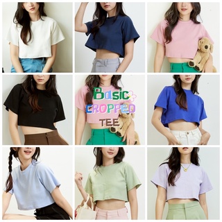 Jiwliw Basic Cropped Tee เสื้อครอป