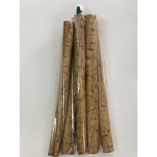 โกโบ / รากโกโบสด (Gobo, 牛蒡) Burdock Root (500 g./แพค)