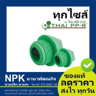 ปลั๊กอุด พีพีอาร์ PPR ไทยพีพีอาร์ (ท่อพีพีอาร์ Thai PP-R กดเลือกไซส์เอา)