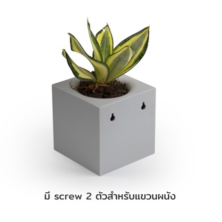 Qualy(ควอลี่) - กระถางต้นไม้ให้น้ำอัตโนมัติ ทรงสี่เหลี่ยม  - Pixel Pot - Self watering Plant pot