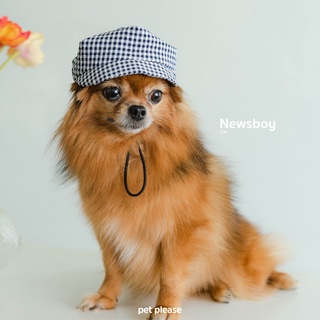 Newsboy หมวกสัตว์เลี้ยง l petplease