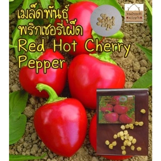 เมล็ดพันธุ์ พริกเชอรี่เผ็ด  Red Hot Cherry Pepper Seed เมล็ดแท้ นำเข้า