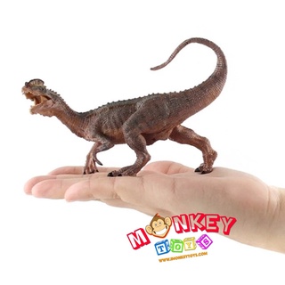 Monkey Toys - โมเดลไดโนเสาร์ Dilophosaurus น้ำตาล ขนาด 14.50 CM (จากหาดใหญ่)