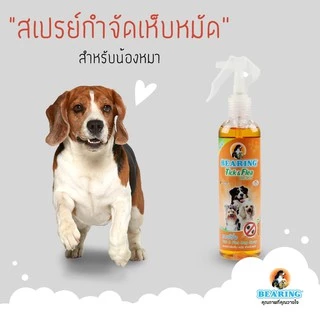 BEARING Tick & Flea Dog น้ำยากำจัดเห็บหมัด สำหรับสุนัข เห็นผลรวดเร็ว 250ml