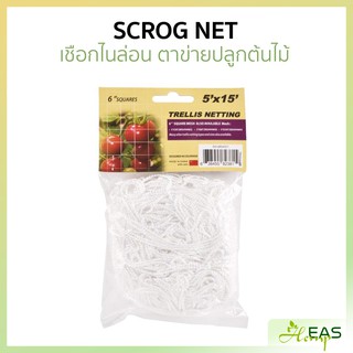 Scrog net ตาข่าย ปลูกต้นไม้ เชือกไนล่อน ขนาดใหญ่