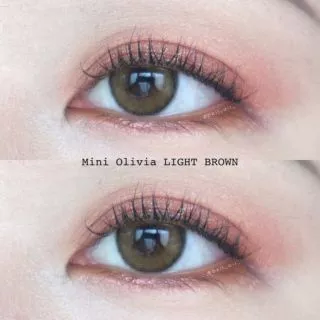 💖 Kitty kawaii ๑ mini Olivia ( Mavia ) Brown Light brown สายตา -00 ถึง -1000 Contactlens คอนแทคเลนส์