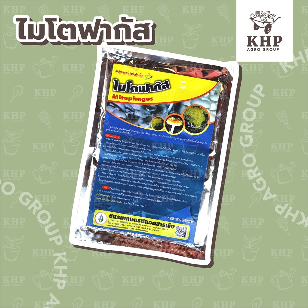ไมโตฟากัส ชีวภัณฑ์ กำจัดไร ในฟาร์มเห็ด เช่น ไรไข่ปลา ชายเชื้อเพิ่มได้ ปลอดสารพิษ 100% เป็นมิตรกับสิ่งแวดล้อม (250 กรัม)
