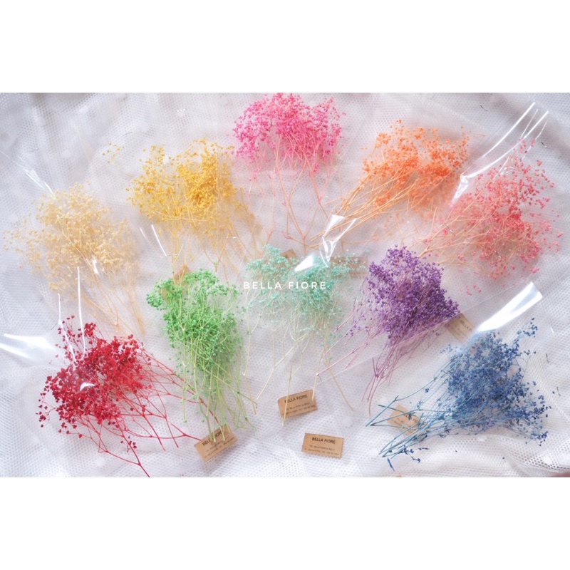 พร้อมส่ง!! ถูกมากก DIY จิปโซฟิลล่า ซองละ 15บาทเท่านั้นจ้า