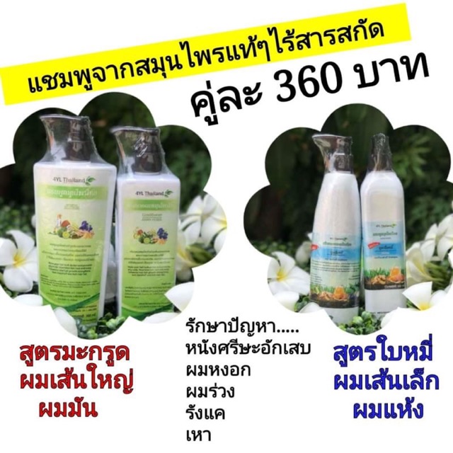 แชมพูสมุนไพร 4YL