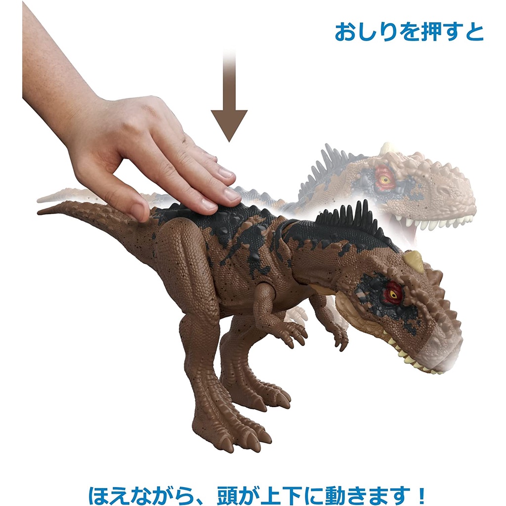 **MTS Toys**Mattel Jurassic World Dominion Roar Strikers : HDX35 Rajasaurus [ความยาวจากหัวถึงหาง 26 