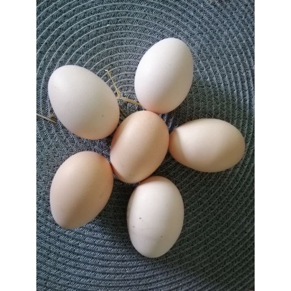 รูปภาพ 8