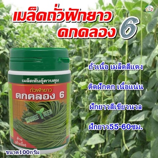 เมล็ดถั่วฝักยาว ดกคลอง6 ขนาด100กรัม เมล็ดพันธุ์ถั่วฝักยาว ตราเสือดาว